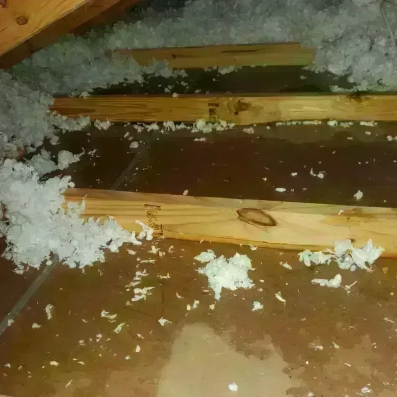 Attic Water Damage in San Bruno, CA